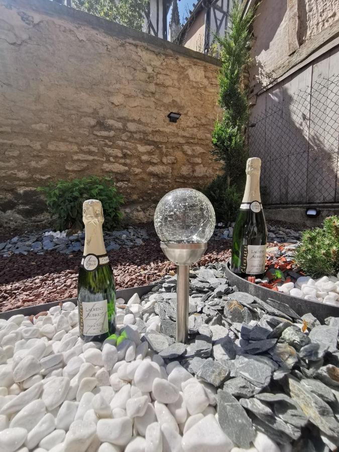 Le Papillon De La Cathedrale - Calme - Jardin - Wifi Apartman Troyes Kültér fotó
