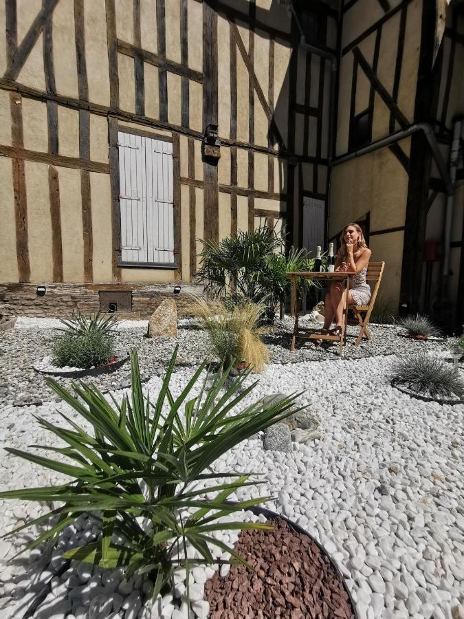 Le Papillon De La Cathedrale - Calme - Jardin - Wifi Apartman Troyes Kültér fotó